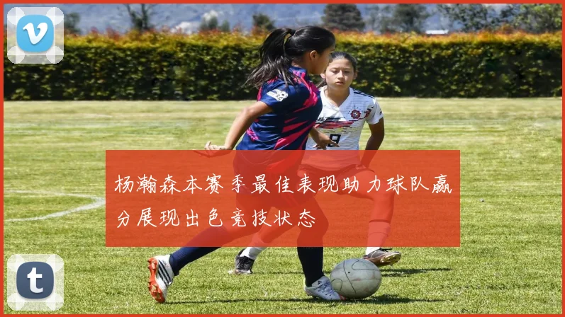 杨瀚森本赛季最佳表现助力球队赢分展现出色竞技状态