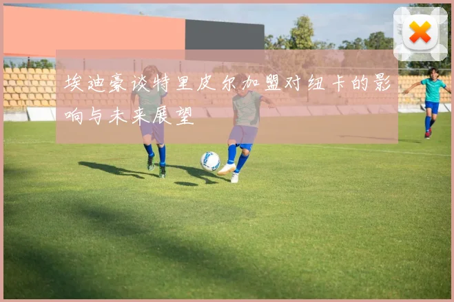 埃迪豪谈特里皮尔加盟对纽卡的影响与未来展望