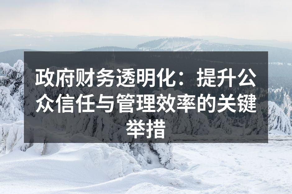 政府财务透明化：提升公众信任与管理效率的