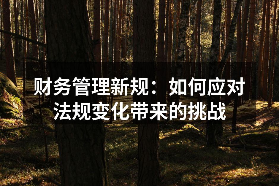 财务管理新规：如何应对法规变化带来的挑战